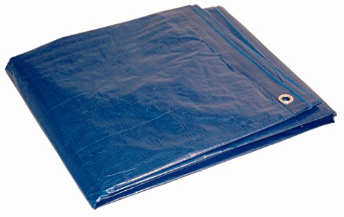 Dry Top 662 Medium Duty Tarp, 20x30 Feet, Blue